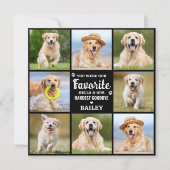 ペットカスタムメモリアル8写真犬ロス悔やみや弔慰 サンキューカード (正面)