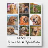 ペットカスタムメモリアル9フォトコラージキャットドッグ フォトプラーク (正面)
