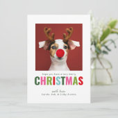 ペットカラフルドッグ猫フォトクリスマスカード シーズンカード (スタンド正面)