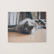 ペットキャッカスタマイズトキッテンおもしろい