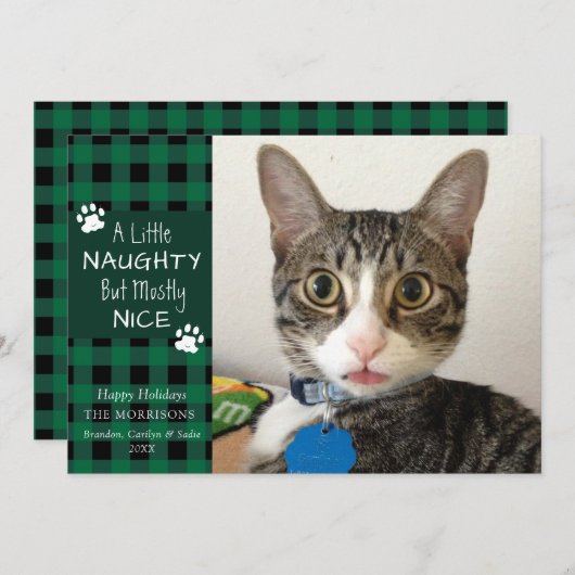 ペットキャットいけなとニースグリーンブラックプレイド シーズンカード (正面/裏面)