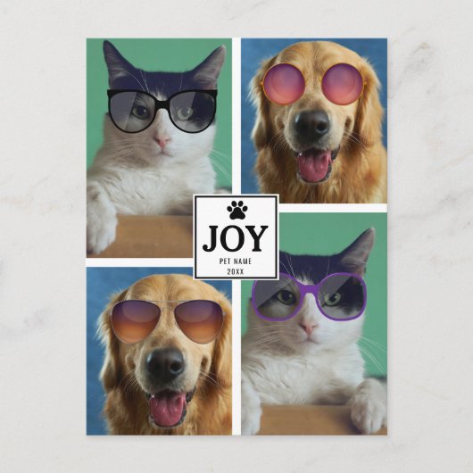 ペットキャットドッグクリスマスアニマルフォトコラージュクリスマス シーズンポストカード (正面)