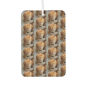 ペットキャットドッグフォトパーソナライズカスタム大 カーエアーフレッシュナー