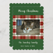 ペットキャットドッグホリデークリスマスフラットフォトカード シーズンカード (正面/裏面)