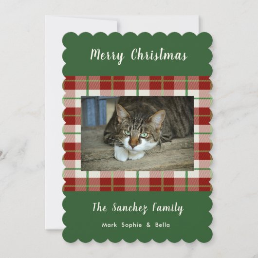 ペットキャットドッグホリデークリスマスフラットフォトカード シーズンカード (正面)