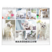 ペットキャットフォトコラージカレンダー カレンダー (カバー)