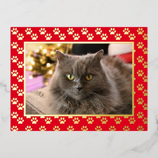 ペットキャッパーソナライズされたト写真マイオウィクリスマス金ゴールド 箔シーズンポストカード (正面)