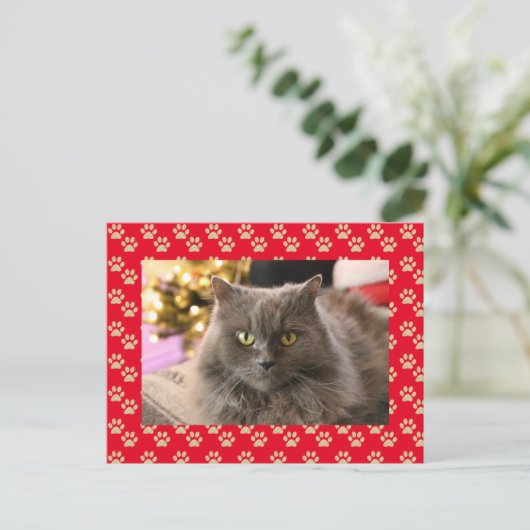 ペットキャッパーソナライズされたト写真マイオウィクリスマス シーズンポストカード (スタンド正面)