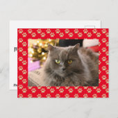 ペットキャッパーソナライズされたト写真マイオウィクリスマス シーズンポストカード (正面/裏面)