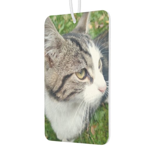 ペットキャッパーソナライズされたト写真車の空気フレッシュな香り カーエアーフレッシュナー (左)