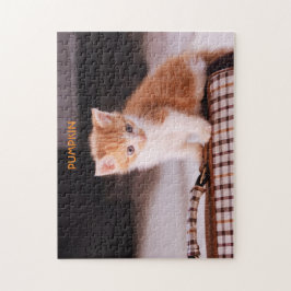 ペットキャリアに乗ったオレンジキャット/オレンジキッテン ジグソーパズル