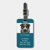 ペットキャリアもしス失ったキャンQRコードの電話名写真 ラゲッジタグ (正面縦)