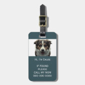 ペットキャリアもしス失ったキャンQRコードの電話名写真 ラゲッジタグ (正面縦)