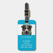 ペットキャリアもしス失ったキャンQRコードの電話名写真 ラゲッジタグ (正面縦)