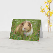 ペットギニアのウェルカードを取る カード (黄色い花)