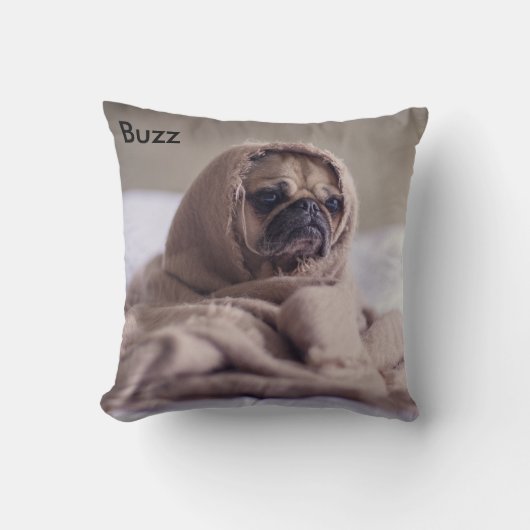 ペットクッション クッション (正面)