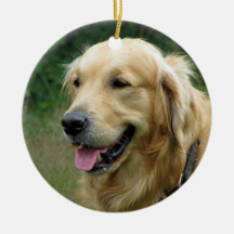 ペットクリスマスの写真の現在の記念品