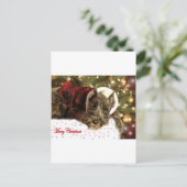 ペットクリスマスカード シーズンポストカード (スタンド正面)