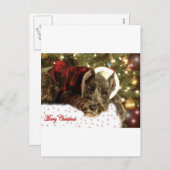 ペットクリスマスカード シーズンポストカード (正面/裏面)
