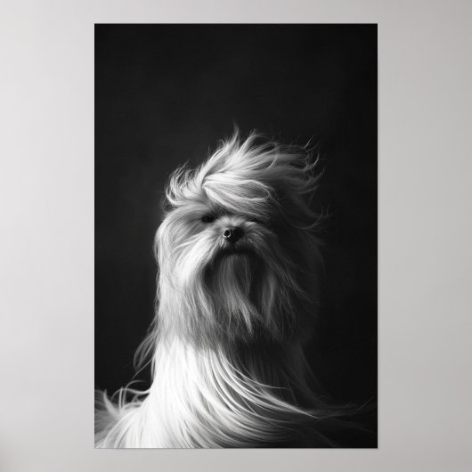 ペットグルーミングサロンブティックヨークシールポートレート ポスター (正面)