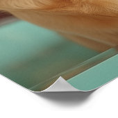 ペットグルーミングサロンブティックラブラドールポートレート ポスター (角)