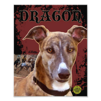 ペットグレイハウンドプリント フォトプリント           