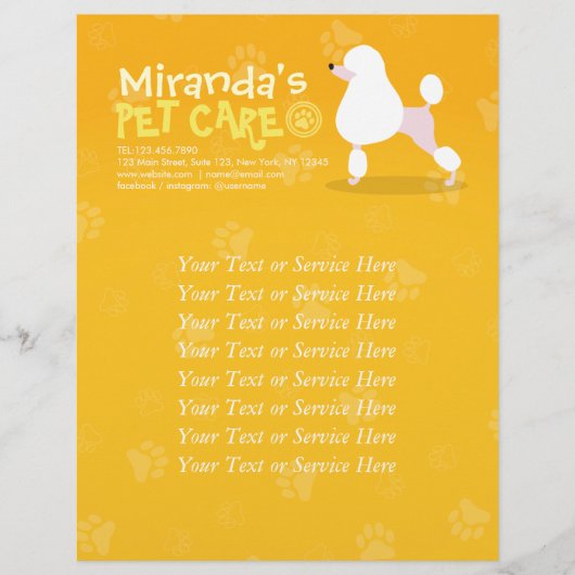ペットケア座って愛らしい漫画の犬イラストレーション チラシ (正面)