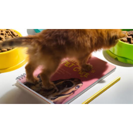 ペットケア着座入浴グルーミングサロン食品店 ノートブック