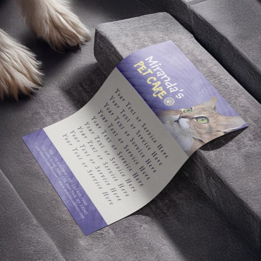 ペットケア着座入浴グルーミング美しいサロン猫 チラシ