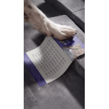 ペットケア着座入浴グルーミング美しいサロン猫