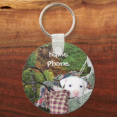 ペットサー広告ビス キーホルダー (正面)