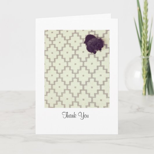 ペットシッター サンキューカード (正面)