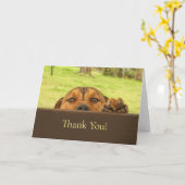 ペットシッティングキュートピットブルサンキューカード カード (黄色い花)