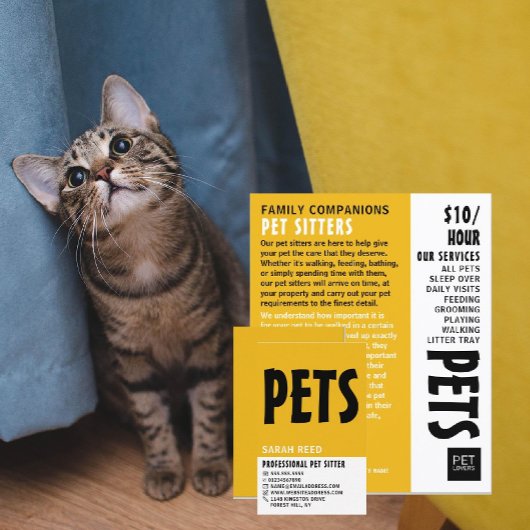 ペットシッモダンはっきりしたター 名刺