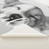 ペットシンプルのモダンエレガント名と写真 シェルパブランケット (3/4)