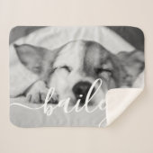 ペットシンプルのモダンエレガント名と写真 シェルパブランケット (正面(横))