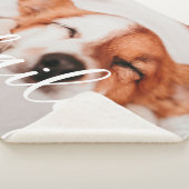 ペットシンプルのモダンエレガント名と写真 シェルパブランケット (3/4)