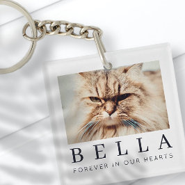 ペットシンプルメモリモダンーのシックな家族写真 キーホルダー