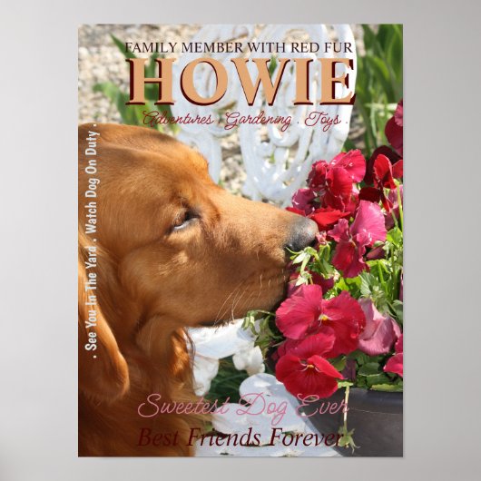 ペットスタークリエイティブポスター ポスター (正面)