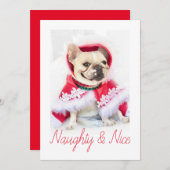 ペットスター | やんちゃ＆キュート オーダーメイドペット犬写真 シーズンカード (正面/裏面)