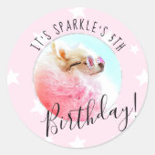 ペットスター |フォトペット誕生日パーティーピンク ラウンドシール (正面)