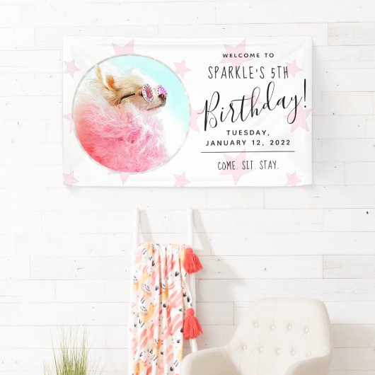 ペットスター | Photo Dog Birthday Party Stars 横断幕 (インサイチュ)