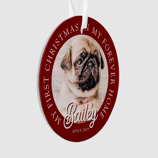 ペットズマイ初めてのクリスマスインフォーエバーホームモダン オーナメント (正面)