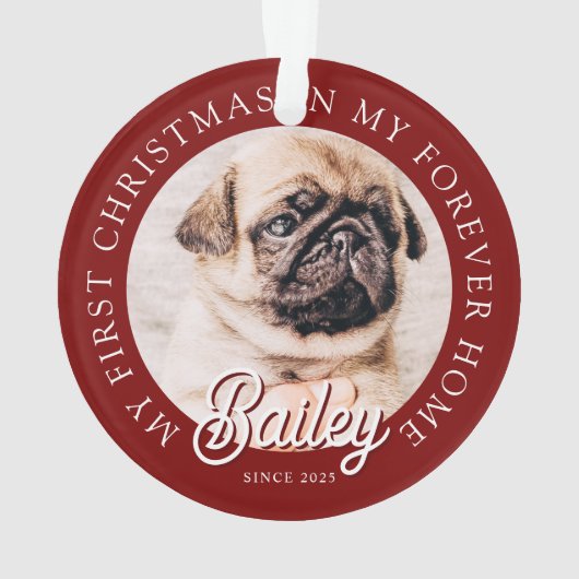 ペットズマイ初めてのクリスマスインフォーエバーホームモダン オーナメント (裏面)