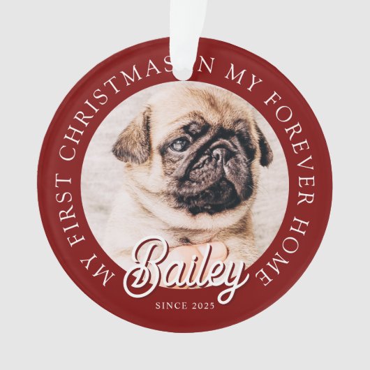 ペットズマイ初めてのクリスマスインフォーエバーホームモダン オーナメント (正面)