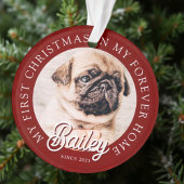 ペットズマイ初めてのクリスマスインフォーエバーホームモダン オーナメント