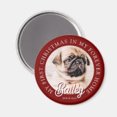 ペットズマイ初めてのクリスマスインフォーエバーホームモダン マグネット (正面/裏面)