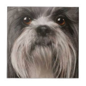 ペットタイル2 タイル (正面)