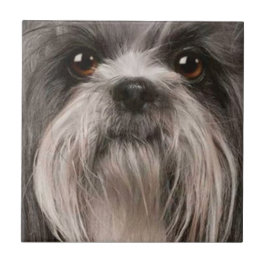 ペットタイル2 タイル