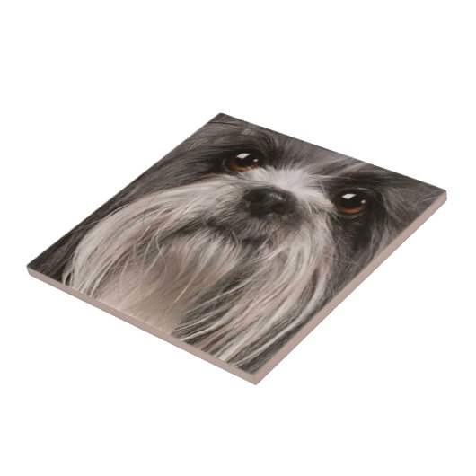 ペットタイル2 タイル (側面)